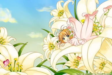 Kinomoto Sakura, Wallpapers