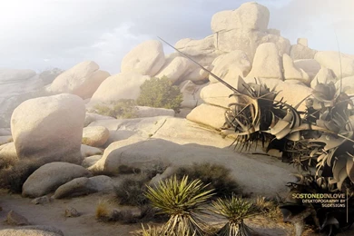 Galary Of AMAZING Wallpapers