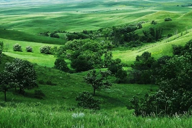 Hd Nature Wallpapers, Place, Download Nature Wallpaper, Mother ...