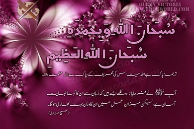 Download Quotes Desktop Hd Wallpapers ›› Page 16