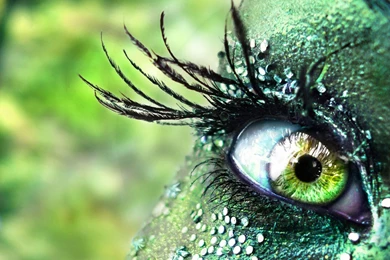 Greenish HD Wallpapers   Deep HD Wallpapers For You