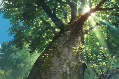 Masatotoys.freeforums.org • View Topic   Studio Ghibli Backgrounds ...