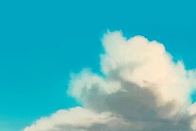 STUDIO GHIBLI GIFS : Spirited Away Phone Wallpapers Quality Is Best...