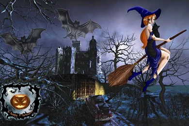 Halloween Witch Wallpapers   119523