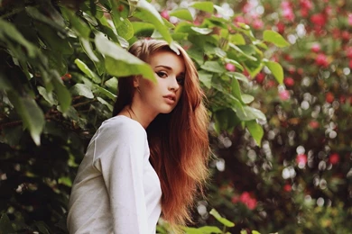 Gardens Wallpaper: Lovely Girl In The Garden Wallpapers Hd Free ...