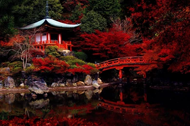 Autumn Japanese Garden   (