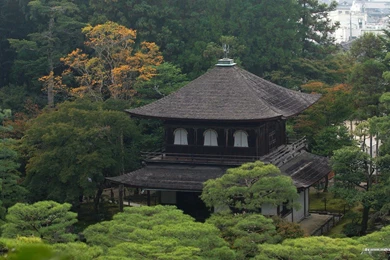 Gardens Wallpaper: 1680 1050 Beautiful Japanese Garden Wallpapers ...