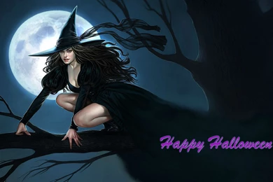 Halloween Witch Wallpapers   1000520