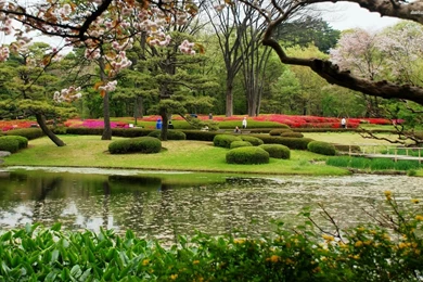 Gardens Wallpaper: Japanese Garden Wallpapers Nature Wallpapers ...