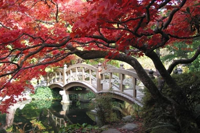 Japanese Garden (id: 82458) – BUZZERG