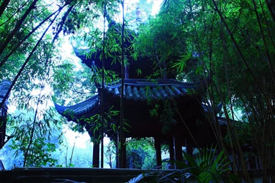 In The Japanese Garden Wallpapers And Images   Wallpapers ...