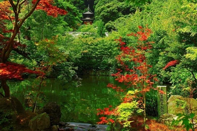 Japanese Garden Wallpapers   Nature Wallpapers