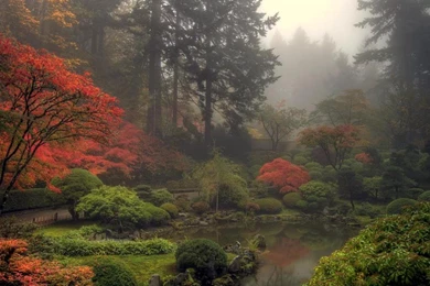 Foggy Japanese Garden >> HD Wallpaper, Get It Now!