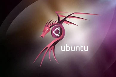 Ubuntu Dragon Wallpapers ~ All About Dragon World   Dragon Tattoo ...