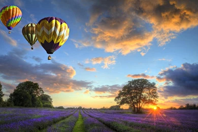 Hot Air Balloons Wallpapers >> Backgrounds With Quality HD