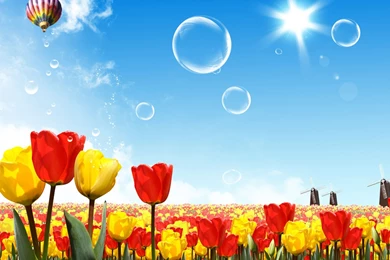 Download Wallpapers 2560x1440 Tulips, Sun, Sky, Hot Air Balloon Mac ...