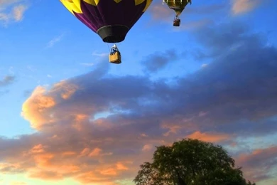 Hot Air Balloons Mobile Wallpapers 4475