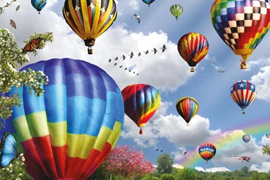 Hot Air Balloons   (