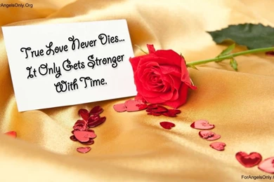 Cute Couple Wallpapers   ForAngelsOnly.com