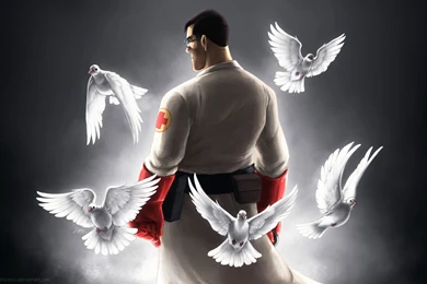 Medic Tf2 Team Fortress Pigeons Best Widescreen
