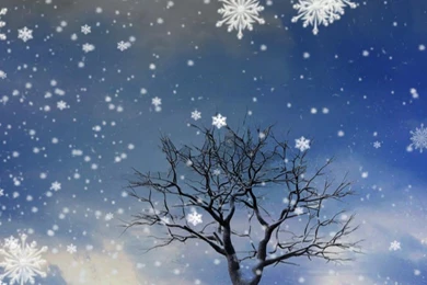 Live Wallpapers For Android   Android Live Wallpapers Download ...