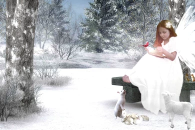 Christmas Angel Wallpapers   Wallpapers Cave