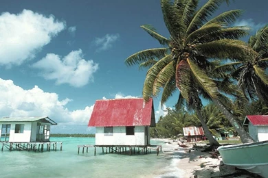 Farm House Beach Tree Sea HD Wallpapers 1080p Free Download ...