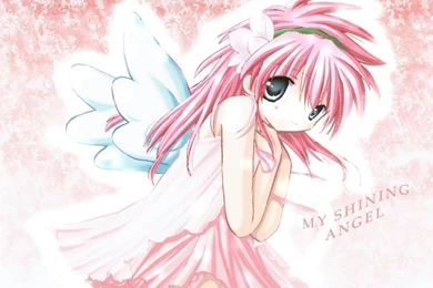 Gallery For   Cute Angel Wings Wallpapers