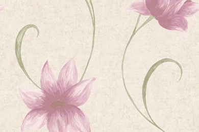 Coloroll Ava Floral Wallpapers Light Beige Pink   M0515 Reviews ...