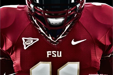 FORIDA STATE SEMINOLES College Football (15) Wallpapers