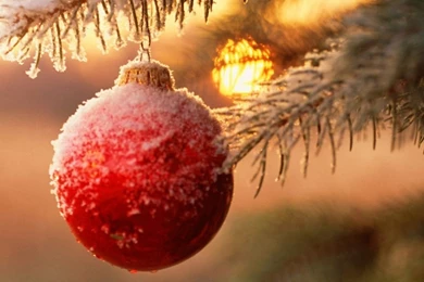 Christmas Decorations Wallpapers And Images   Wallpapers, Pictures ...