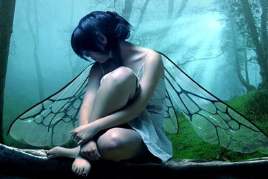 Fairy Wallpaper Backgrounds