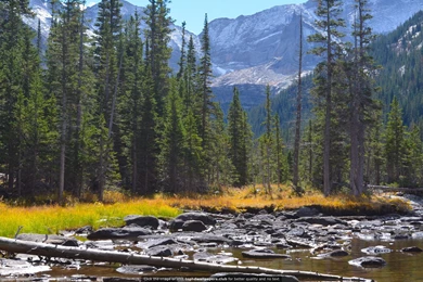 The Marsh Between Mills And Jewel Lakes In Colorado 4K Or HD ...