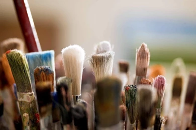 Macro brush hd wallpapers   Magic4Walls.com