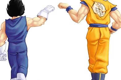 Dragon Ball Z Goku Vegeta (id: 201004) – BUZZERG