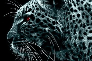 Cool & Popular iPhone Applications   7   Pelfind