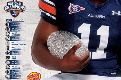 2011 SEC Football Schedule Posters « HolyTurf