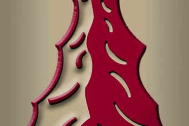Florida State University Seminoles Spear iPhone 5 Wallpapers ...