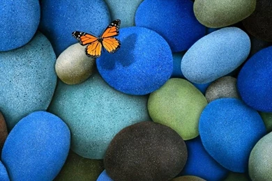 Send Cool Wallpapers To Your Phone For Free Images Pictures 495467 ...