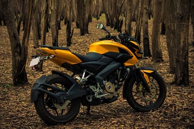 Wallpapers: Bajaj Pulsar 200 NS Wallpapers