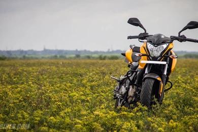 PC Wallpapers Ducati Logo Bajaj Pulsar Ns Wallpapers