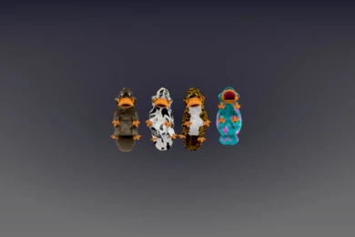 Free Wallpapers Blog: Platypus Backgrounds