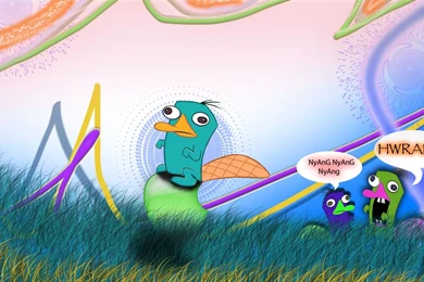 Perry The Platypus Wallpapers By RockDude69 On DeviantArt