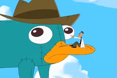 Perry The Platypus Wallpapers   Wallpapers Cave