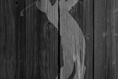 Gorgeous Wood Wallpapers For iPhone 5