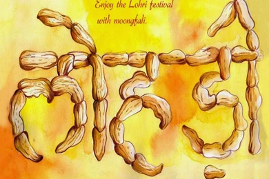 Fresh:: Happy Lohri 2016 HD Wallpapers Download