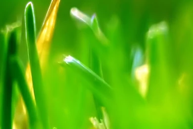 Let The SGS3 Goodies Floweth; S Voice, Wallpapers, And More ...