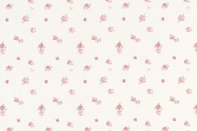 Floral Wallpapers 16   Best Wallpapers Collection