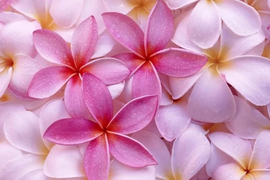 1600x1200px Gambar Batman Wallpapers