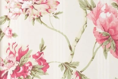 Floral Wallpapers Design 2015   Grasscloth Wallpapers